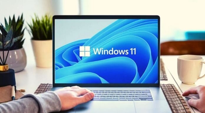 Windows 11