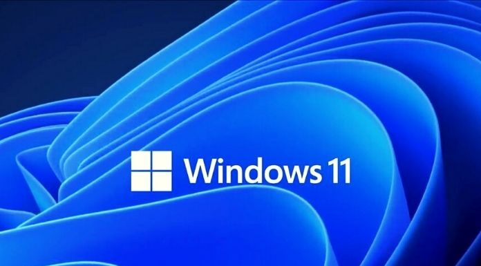 Windows 11