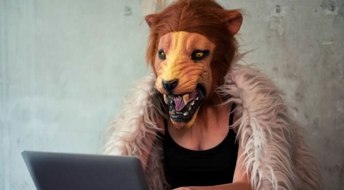 Keyboard Lions