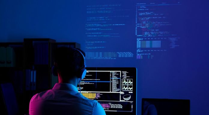 Developer
