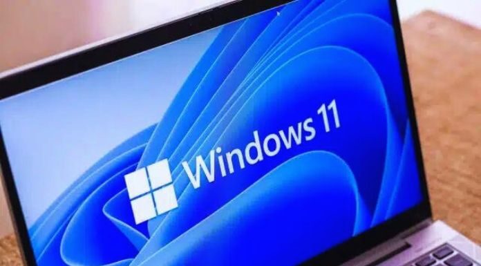 Windows 11
